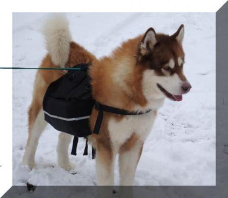 Прикачена снимка