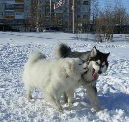 Прикачена снимка