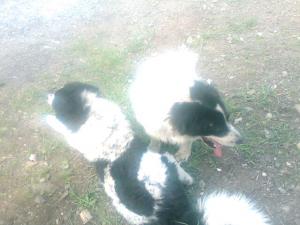 Прикачена снимка