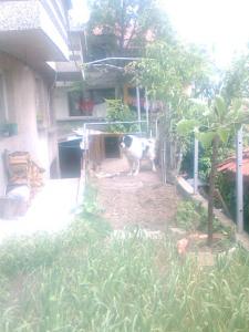 Прикачена снимка