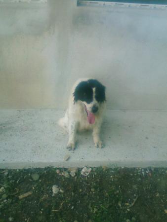 Прикачена снимка