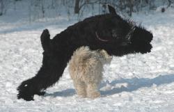 Прикачена снимка