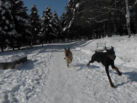 Прикачена снимка