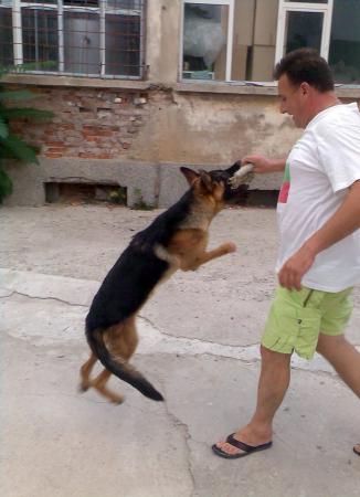 Прикачена снимка