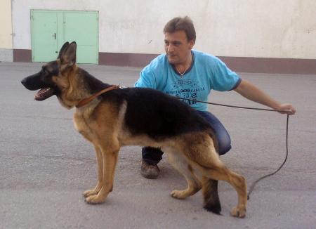Прикачена снимка