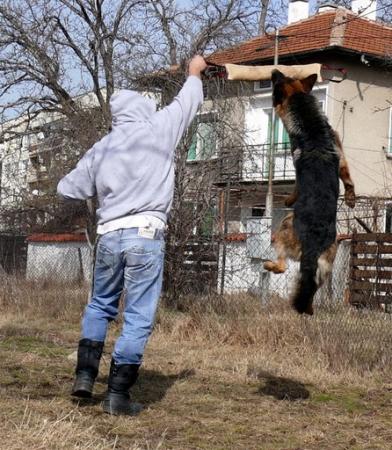 Прикачена снимка
