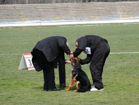 Прикачена снимка