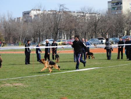 Прикачена снимка