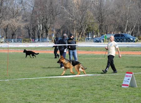 Прикачена снимка