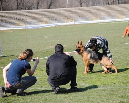 Прикачена снимка