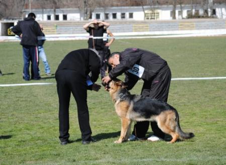 Прикачена снимка