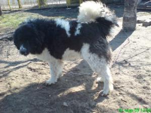 Прикачена снимка