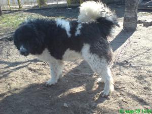 Прикачена снимка