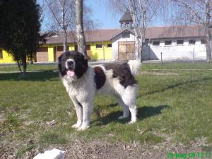 Прикачена снимка