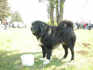 Прикачена снимка