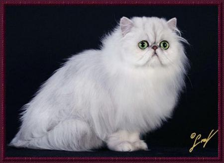 Прикачена снимка