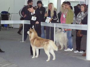 Прикачена снимка