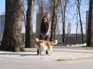 Прикачена снимка