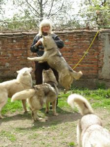 Прикачена снимка