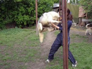 Прикачена снимка