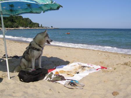 Прикачена снимка