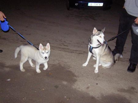 Прикачена снимка