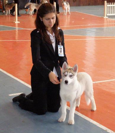 Прикачена снимка