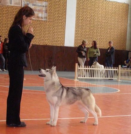 Прикачена снимка