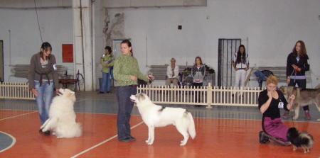 Прикачена снимка