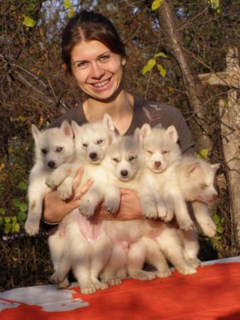 Прикачена снимка