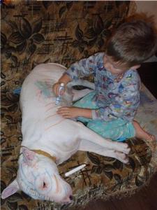 Прикачена снимка