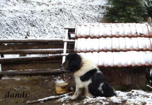 Прикачена снимка