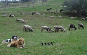 Прикачена снимка