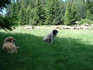 Прикачена снимка