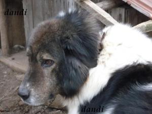 Прикачена снимка