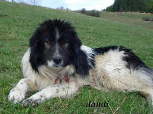 Прикачена снимка