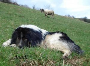 Прикачена снимка