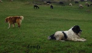 Прикачена снимка