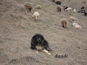 Прикачена снимка