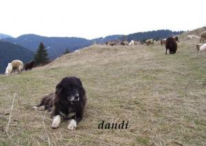 Прикачена снимка