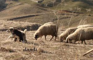 Прикачена снимка