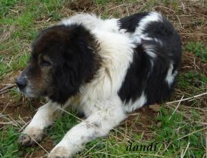 Прикачена снимка