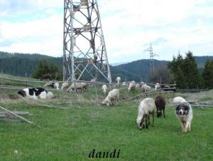 Прикачена снимка