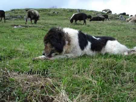Прикачена снимка