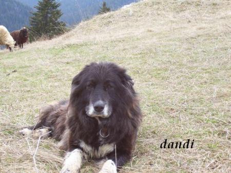 Прикачена снимка