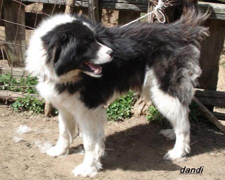 Прикачена снимка