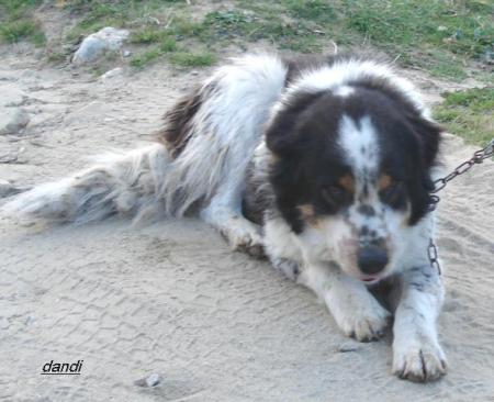 Прикачена снимка