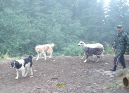 Прикачена снимка