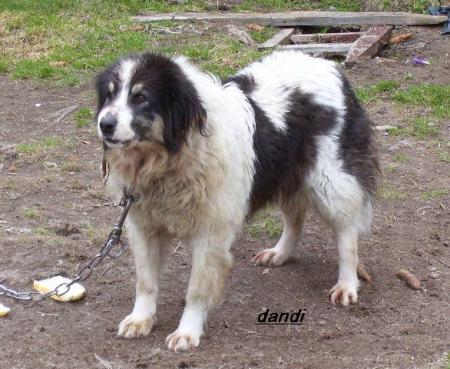 Прикачена снимка