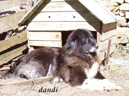 Прикачена снимка